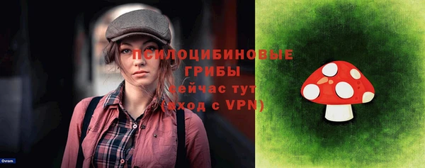 индика Нея
