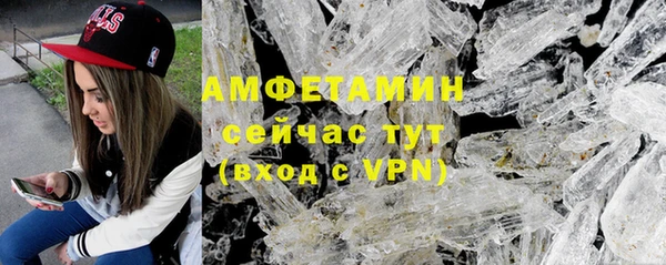 индика Нея