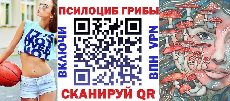 Галлюциногенные грибы Psilocybine cubensis  OMG вход  Ижевск 