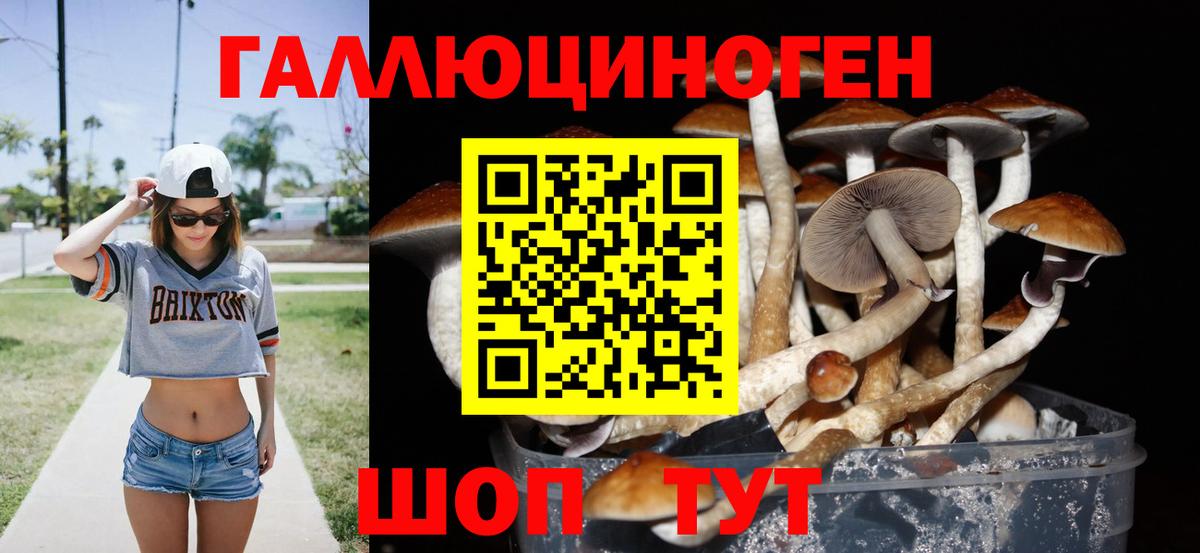 Псилоцибиновые грибы мухоморы  купить закладку  Ижевск  Вход с VPN 
